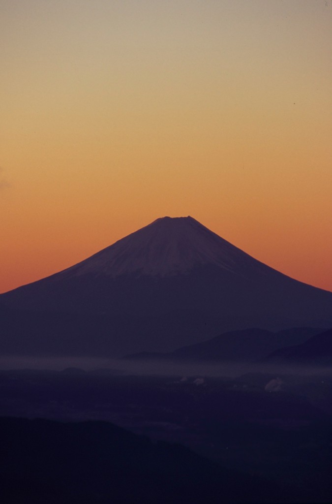 朱に浮かぶ