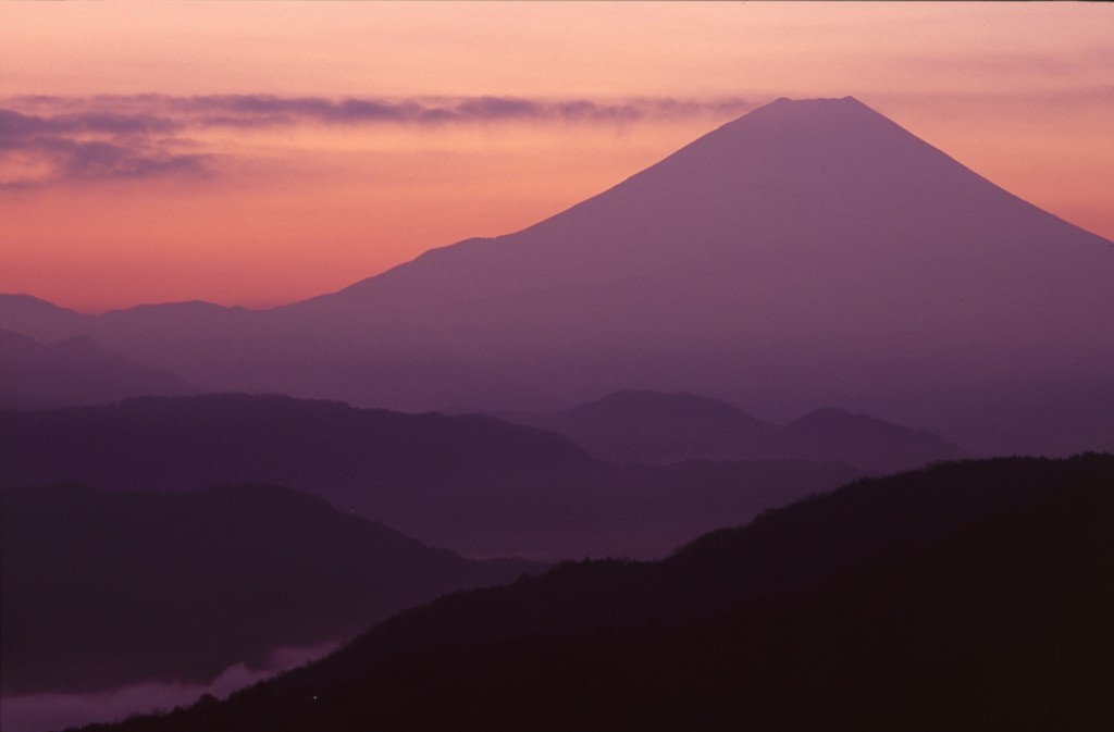 薄紅に染まる