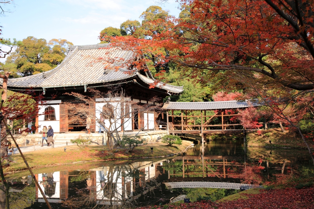 京の紅葉