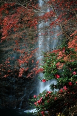 箕面の滝