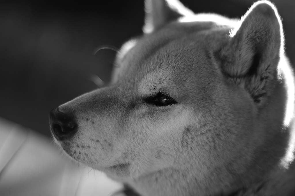 so cute!