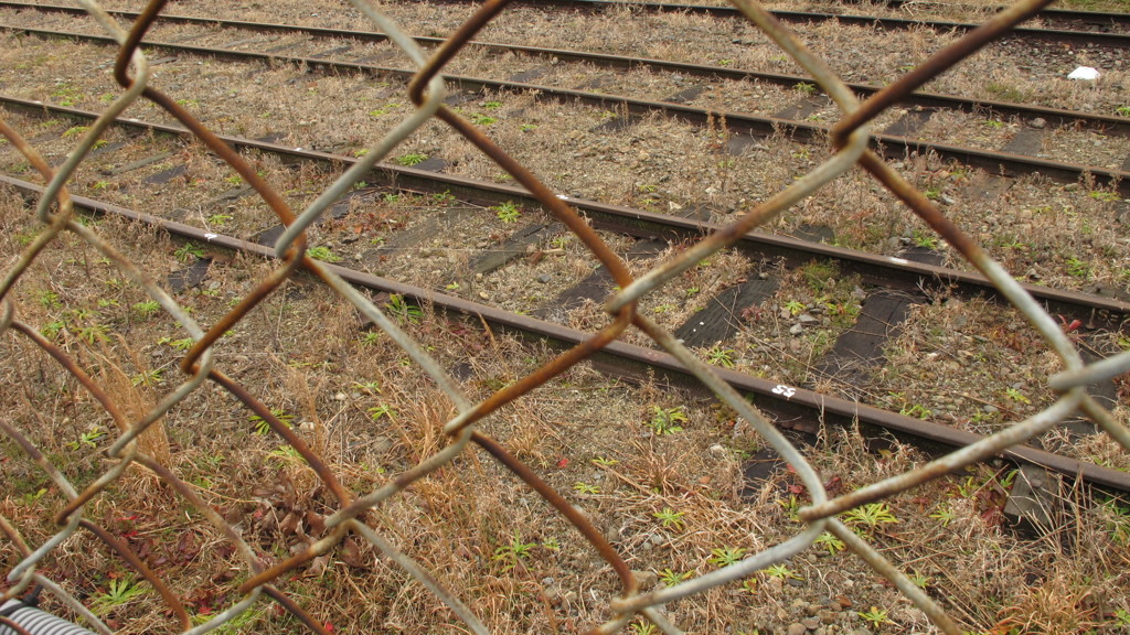Local Line #３９