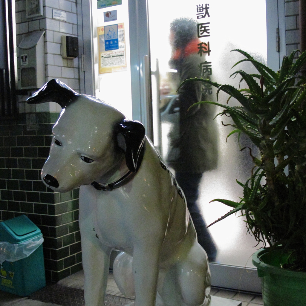 夕暮れの街　動物病院