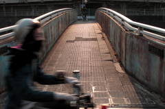夕景　家路