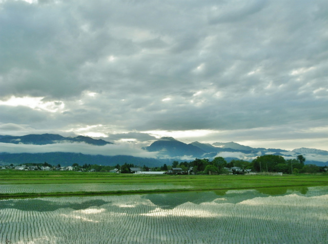 雨上がり