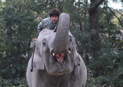 ゾウに乗る人