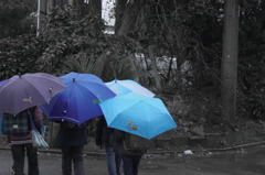 雨の帰り道