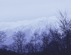 冬の山