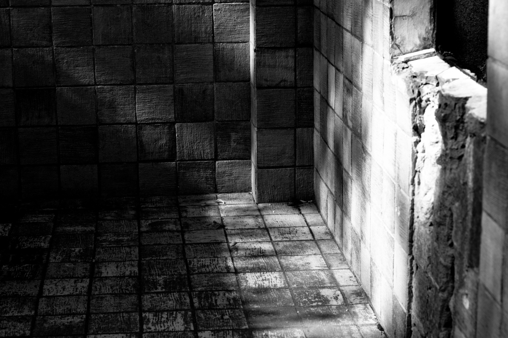 material #5