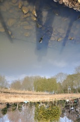 self shadow