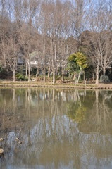 公園