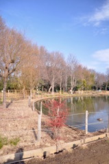 水辺の光景