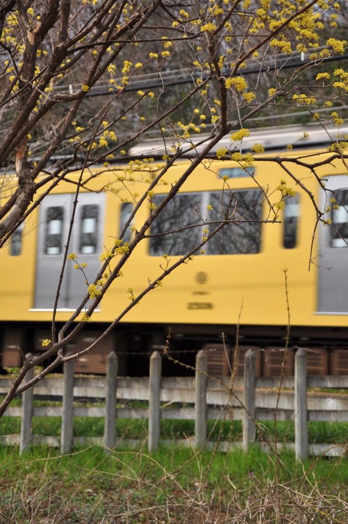 with the train
