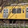 with the train