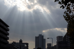 東京にも光り降る