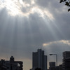東京にも光り降る