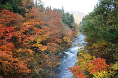 米沢の紅葉