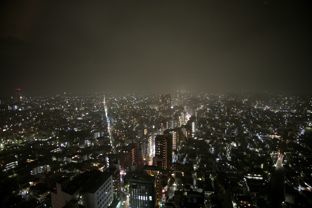 東京　雨