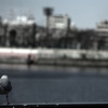 alone