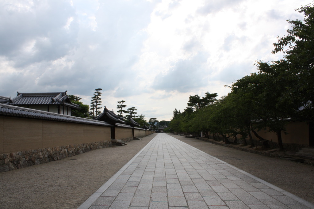 道