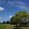 ある日の公園　（流し撮り風）