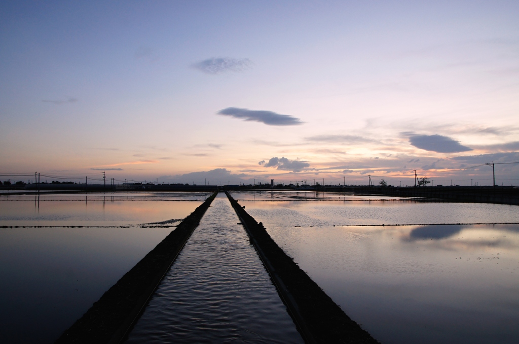 西方の夕景　水田と水路と空