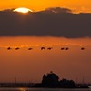 風流島（たわれじま）