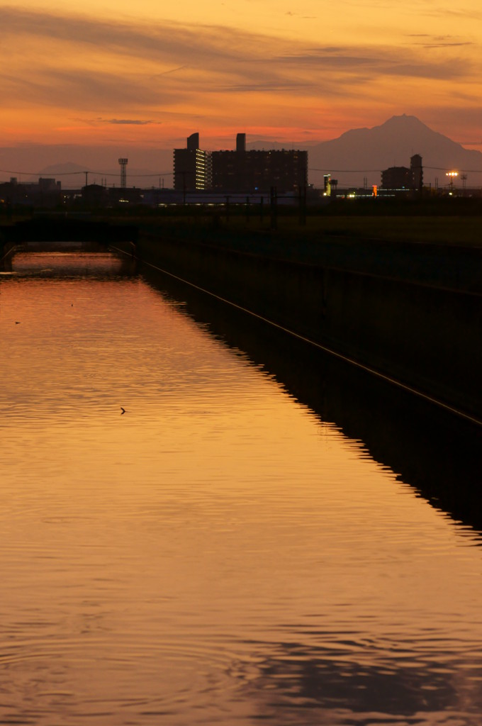 夕暮れのもぐらたたき