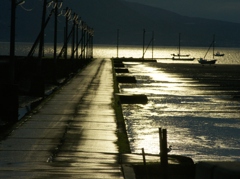 夕陽を浴びた漁道