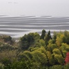 新緑と干潟の風景