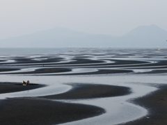 自然の恵み　潮干狩り