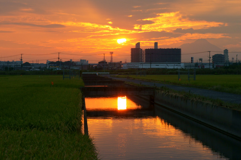 水田と夕景