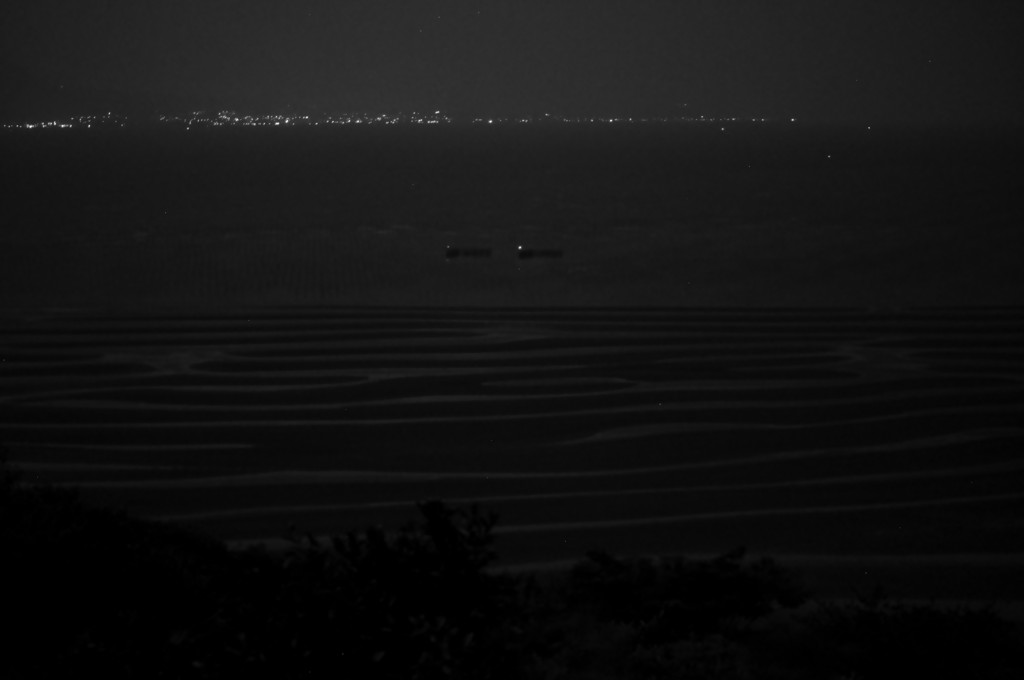月夜の干潟　のつもり