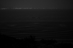 月夜の干潟　のつもり