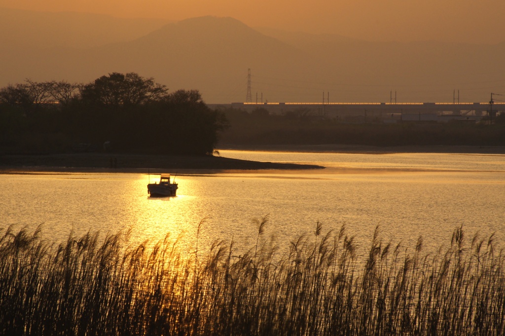 朝一番の光景