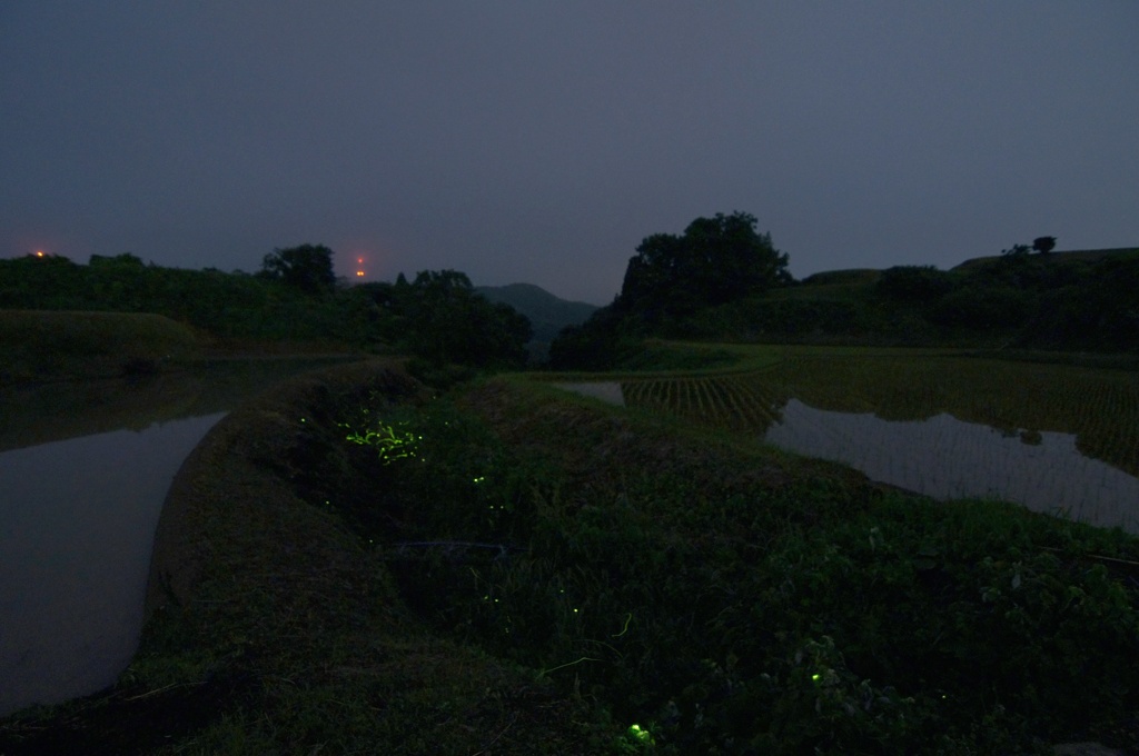 闇の景色　その奥は？