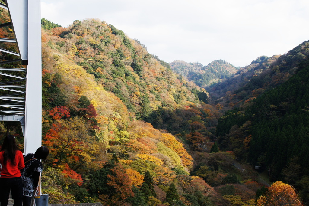 紅葉　熊本　菊池渓谷