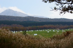 くじゅう連山　大船山？