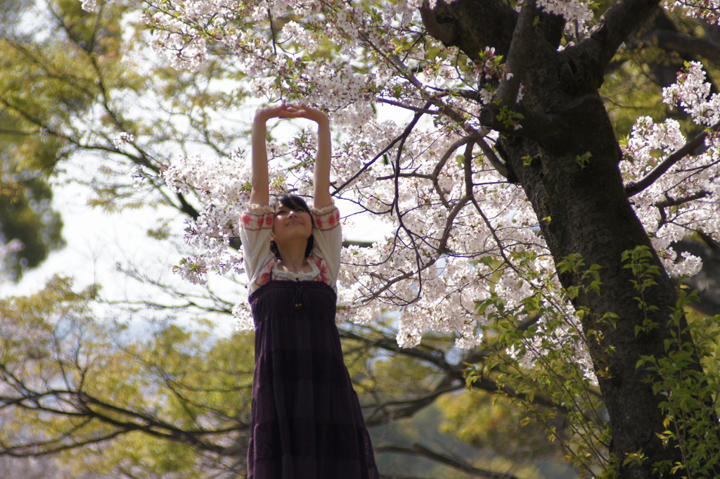 桜の思い出2011