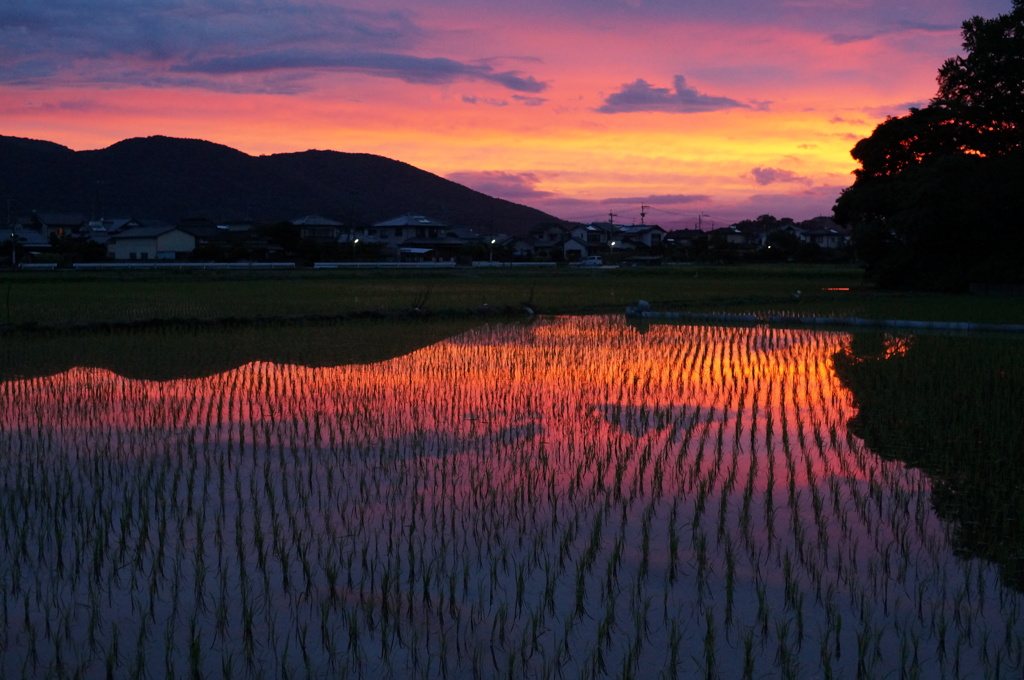 久しぶり里山の朝焼け