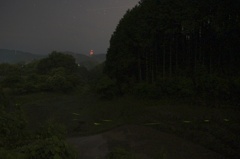 蛍と星空α飛行機通過