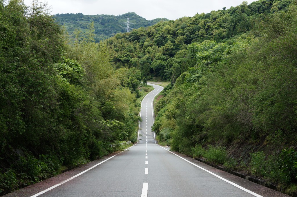 お気に入りの道　その１