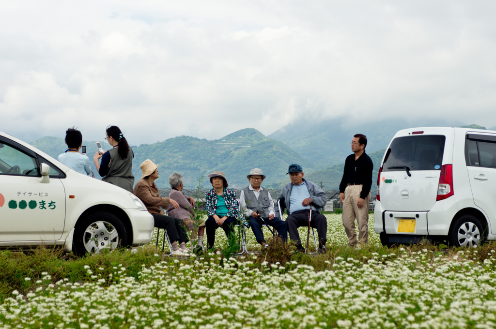 そば畑　春花８