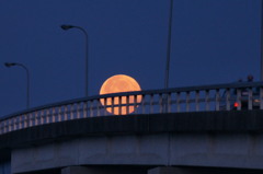 沈む夕陽！　基　月を追いかけて！