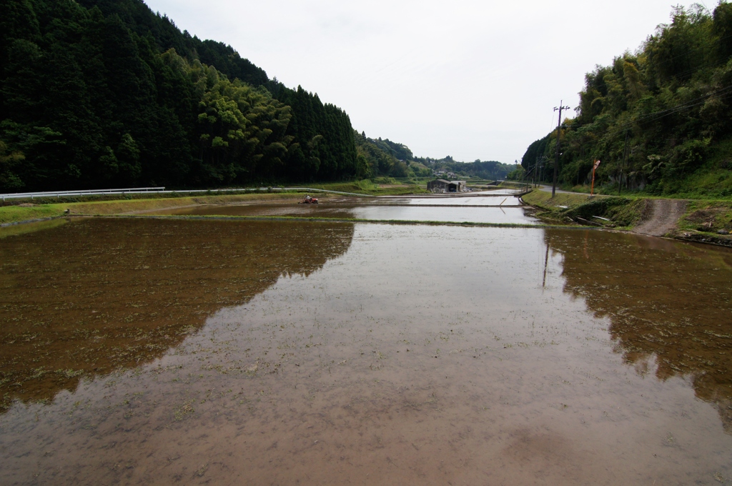 棚田を見つけた！