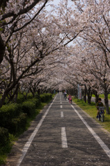 長い長いトンネル　春景色１２