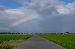 虹色