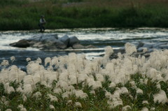 みちくさ　田舎の風景　アユ？釣り