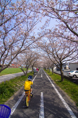 春風を切って　春景色１８