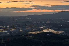 梅雨の合間に　水田の夕照